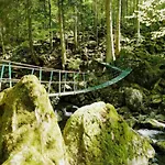 Martin Mit Wellnessbereich Freyung